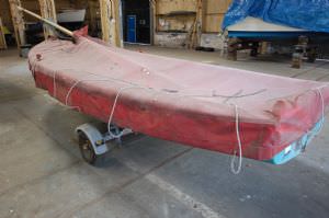 Albacore